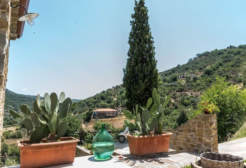 住宿加早餐  Country House L Antica Pietra