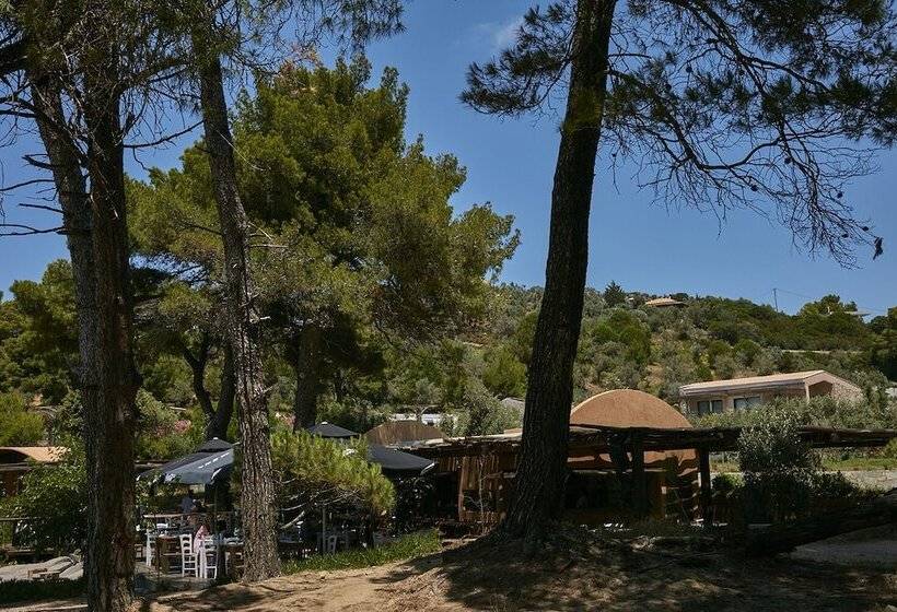 هتل Skiathos Ira