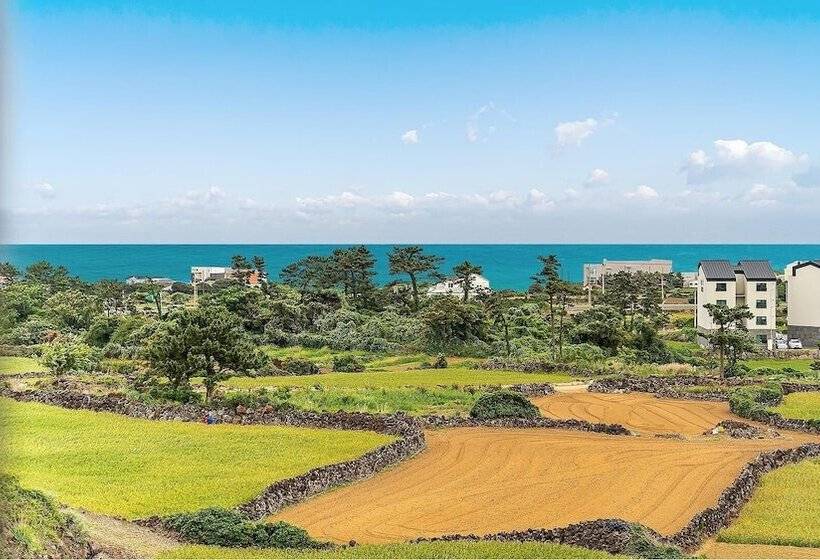 ペンション Jeju Hoyeongfarm Stay