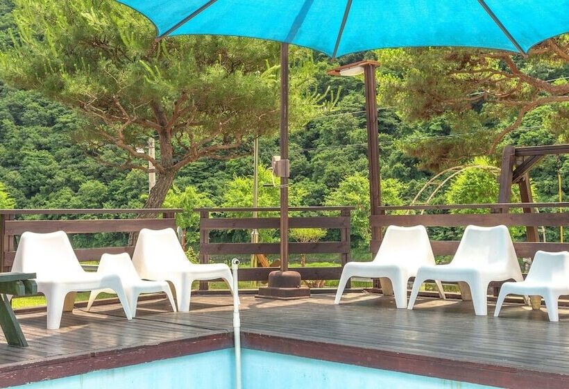 膳宿费 Hongcheon Casa Pellis Pet Private Pesion