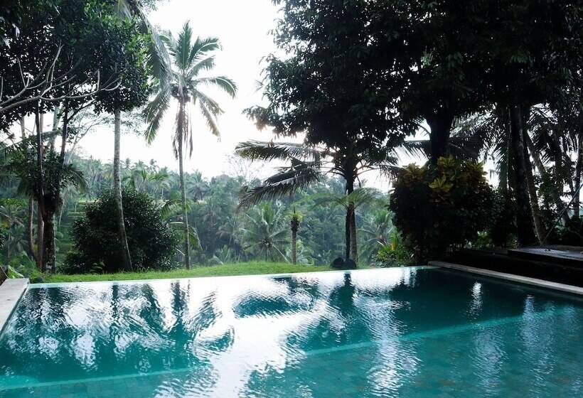 호텔 Aventus Resort Ubud