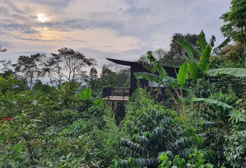 فندق La Palma Y El Tucan   Coffee & Nature