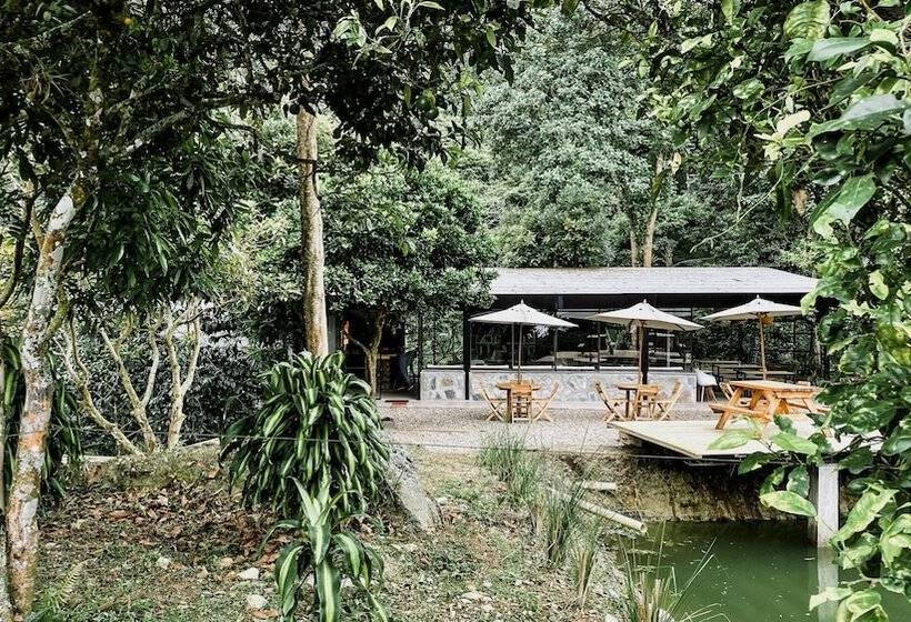 فندق La Palma Y El Tucan   Coffee & Nature