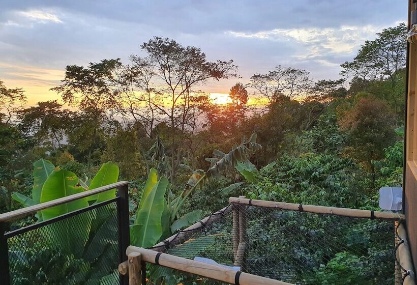 فندق La Palma Y El Tucan   Coffee & Nature
