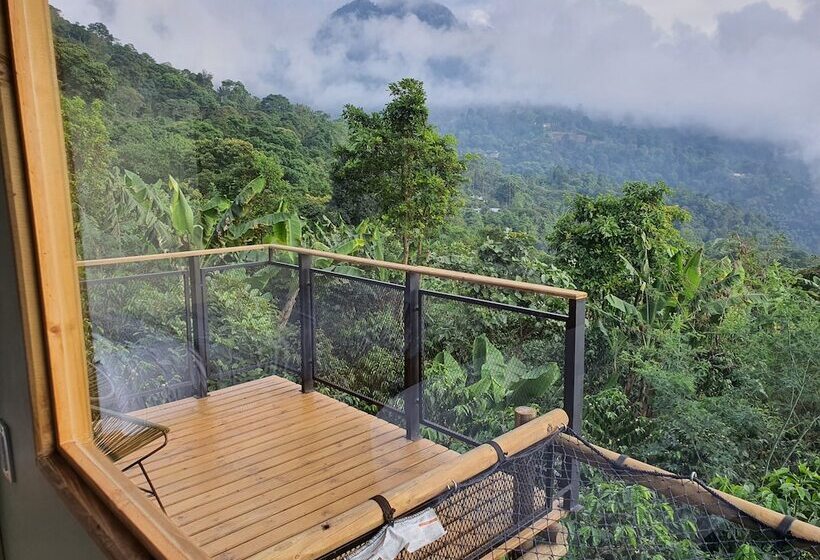 فندق La Palma Y El Tucan   Coffee & Nature
