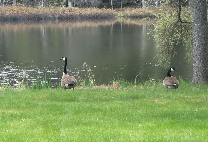 فندق Ladd Pond Cabins And Campground, Llc