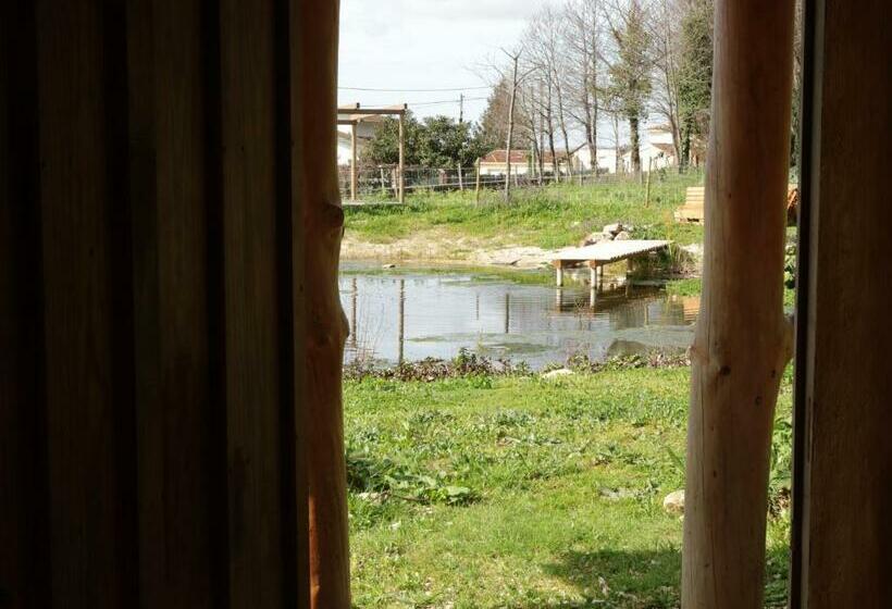 בית מלון כפרי Eco Hostel Quinta Das Relvas
