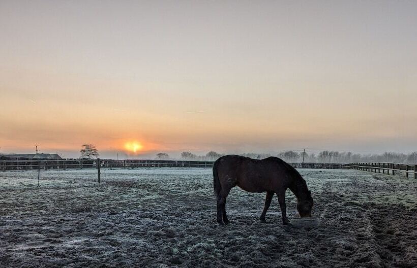 بنسيون Le Gîte Du Haras D Havetot