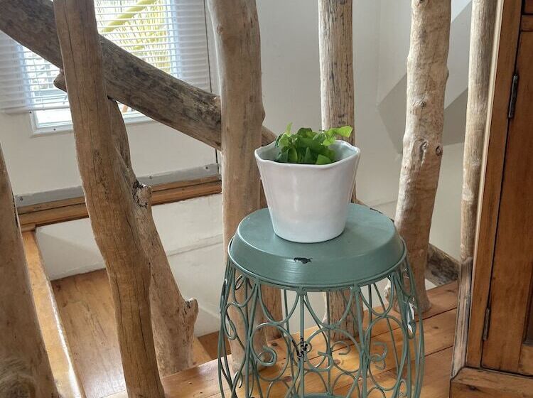 펜션 Little Bird Inn