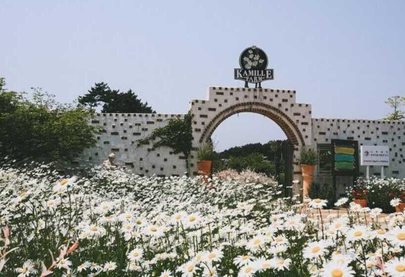 Taean Elvis Pension