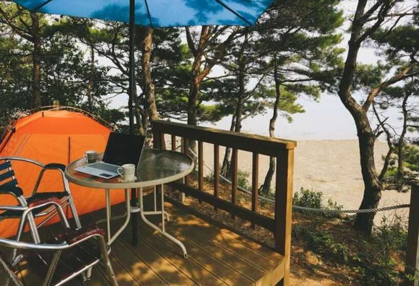 Taean Elvis Pension
