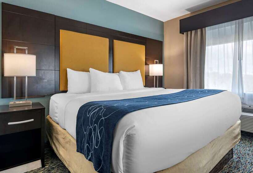 هتل Comfort Suites Fort Lauderdale Airport South & Cruise Port