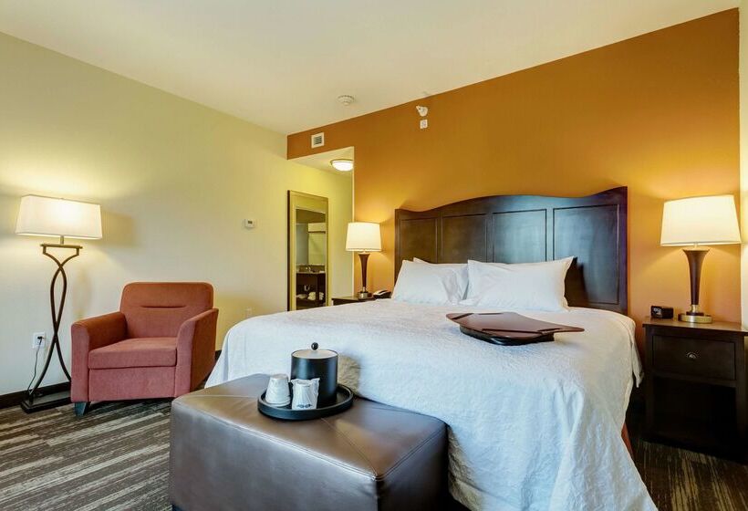 ホテル Hampton Inn Poplar Bluff