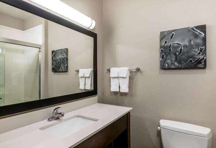 فندق La Quinta By Wyndham Claremore