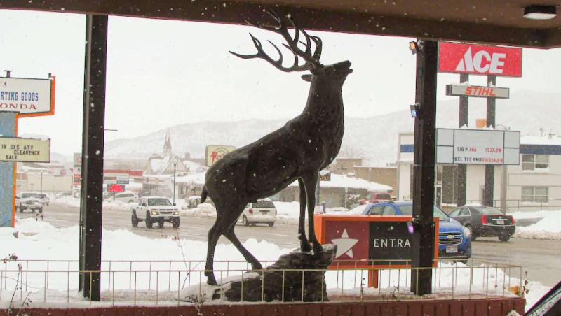 هتل Magnuson  Cedar City