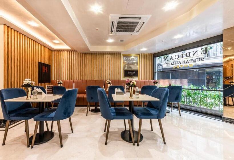 בית מלון כפרי Endican Sultanahmet