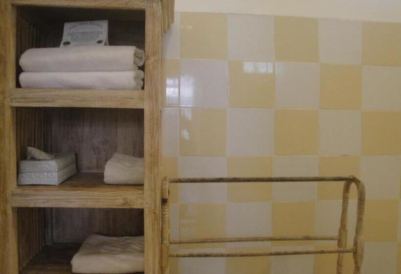 مُتل Scallywags Mango