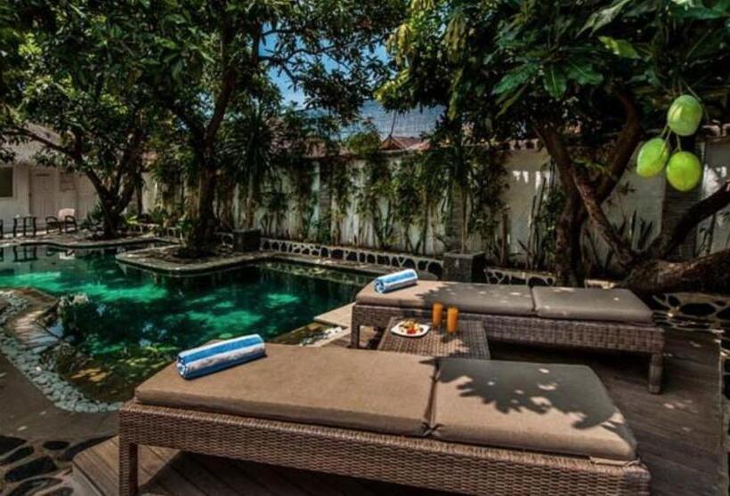 مُتل Scallywags Mango