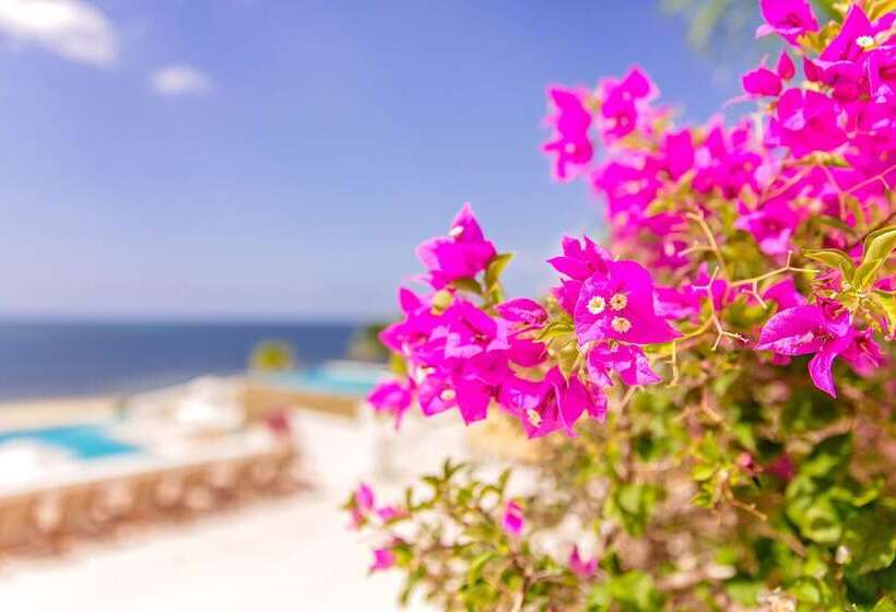 استراحتگاه Las Verandas Hotel & Villas