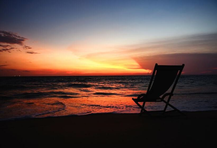 리조트 Palagama Beach