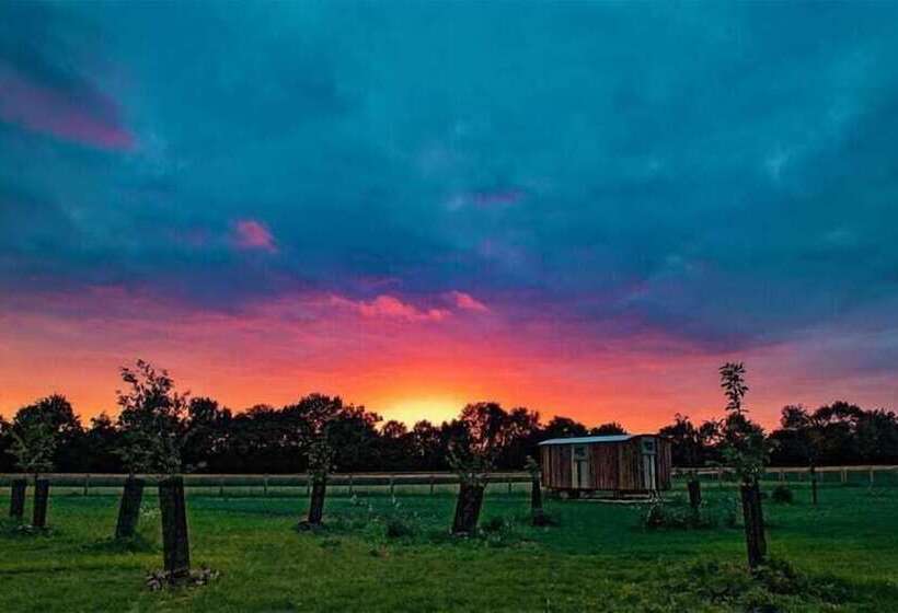 Honeysuckle Farm Hut 7   Suffolk Farm Holidays