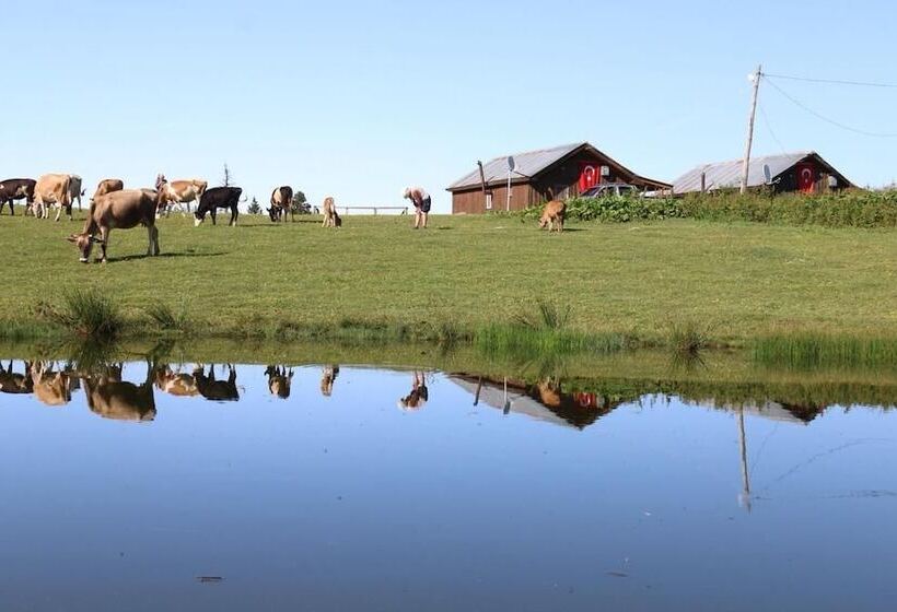 فندق Badara Kafe & Pansiyon