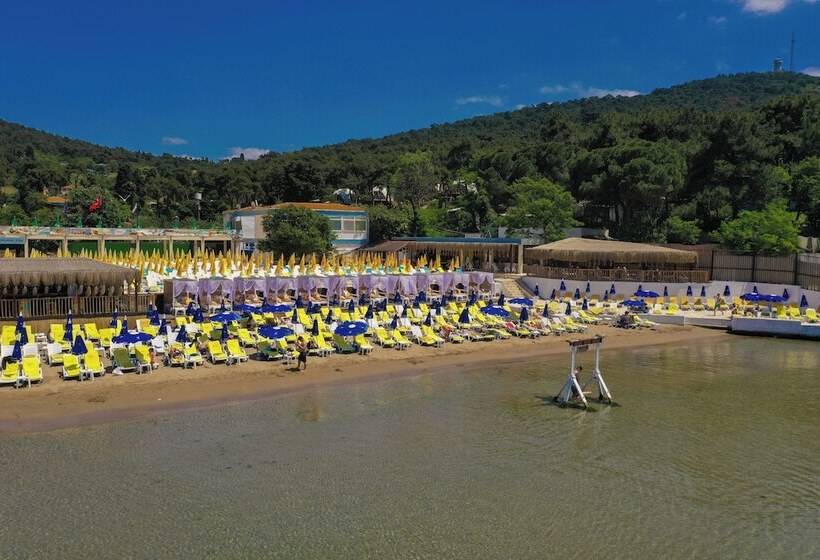 ホテル Glamping Büyükada