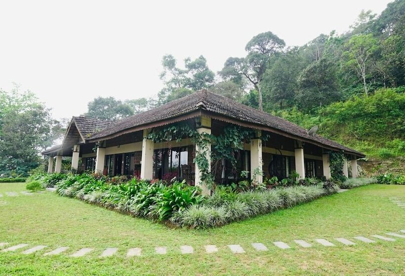 酒店 Magnolia Estates & Resort