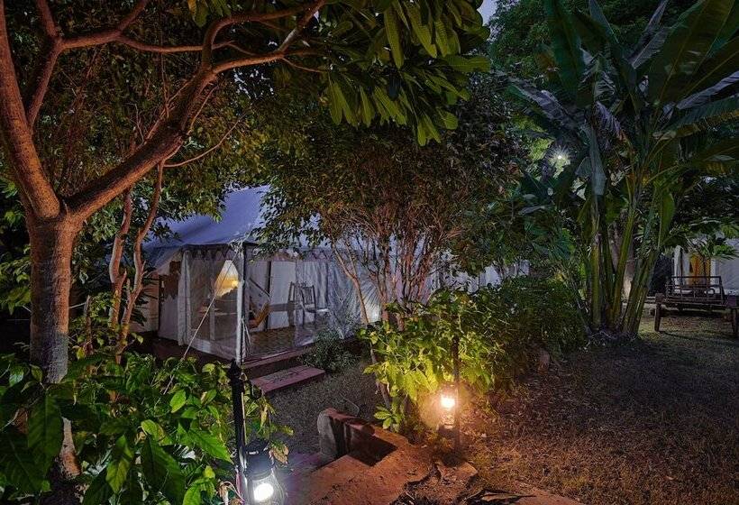 Hotel Ranthambore Tiger Resort By Park Tree