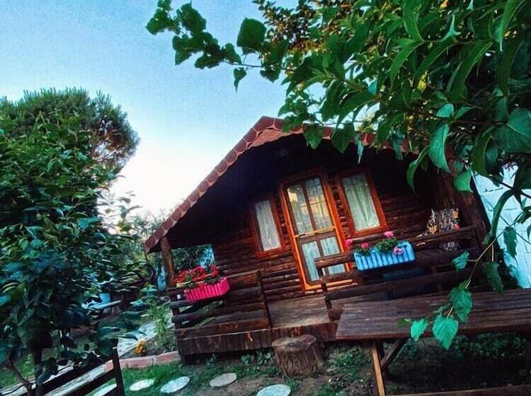 هتل Zeytindagi Bungalow