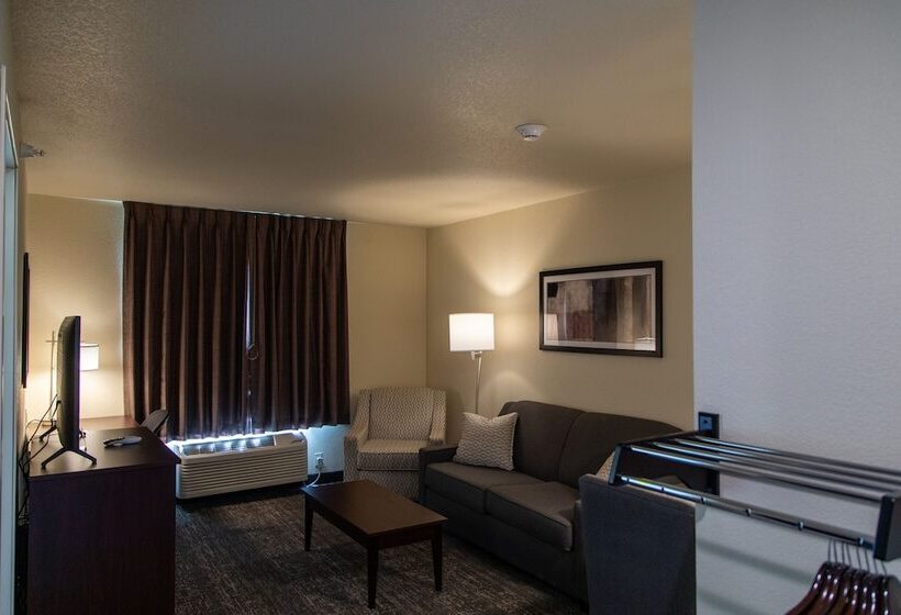 فندق Cobblestone Inn & Suites  Springfield