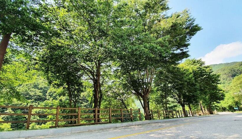 호텔 Jirisan Yeonriji Pension