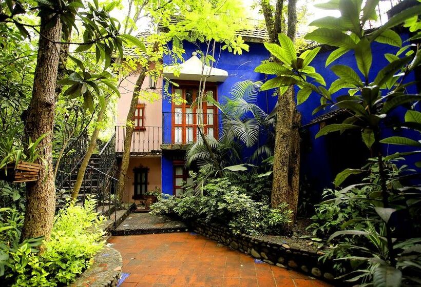 호텔 La Casa De Los árboles