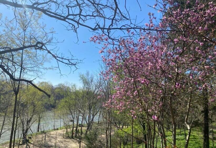 فندق Ouachita River Haven