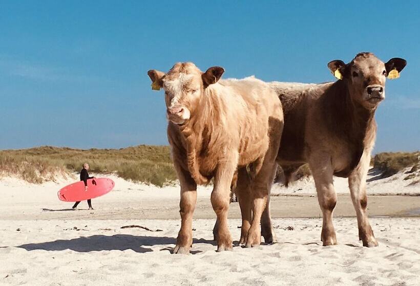 Kirkapol Beach Pod   Ebb