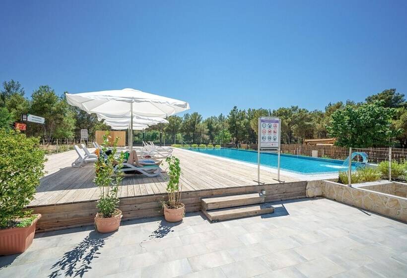 פנסיון Cozy Park View Room With Breakfast Included
