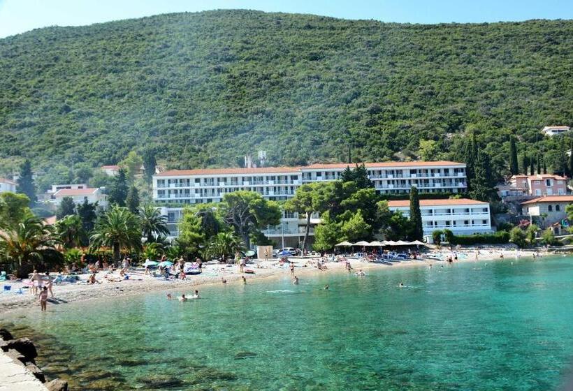 پانسیون Guesthouse Aurora