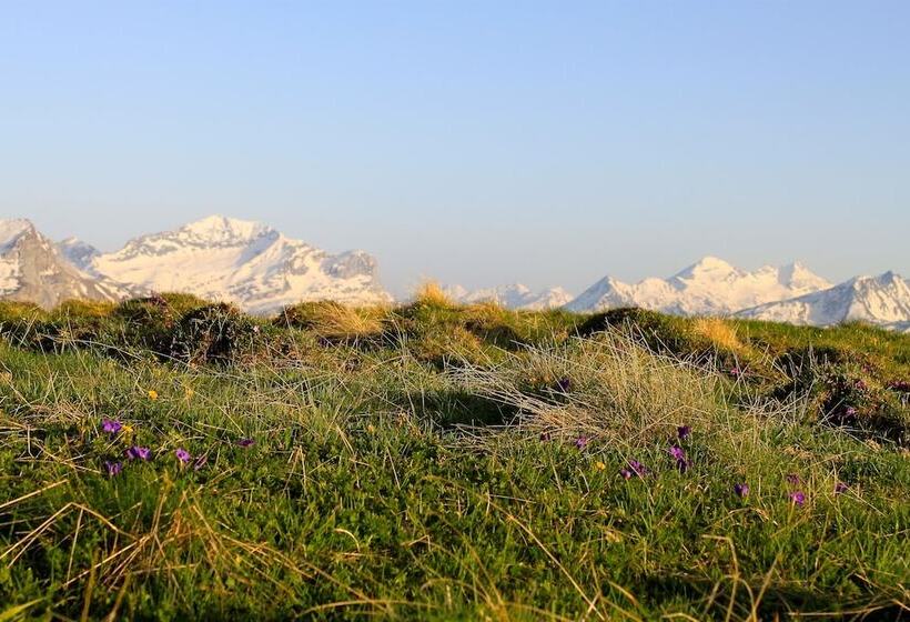 ペンション Pensiun Laresch