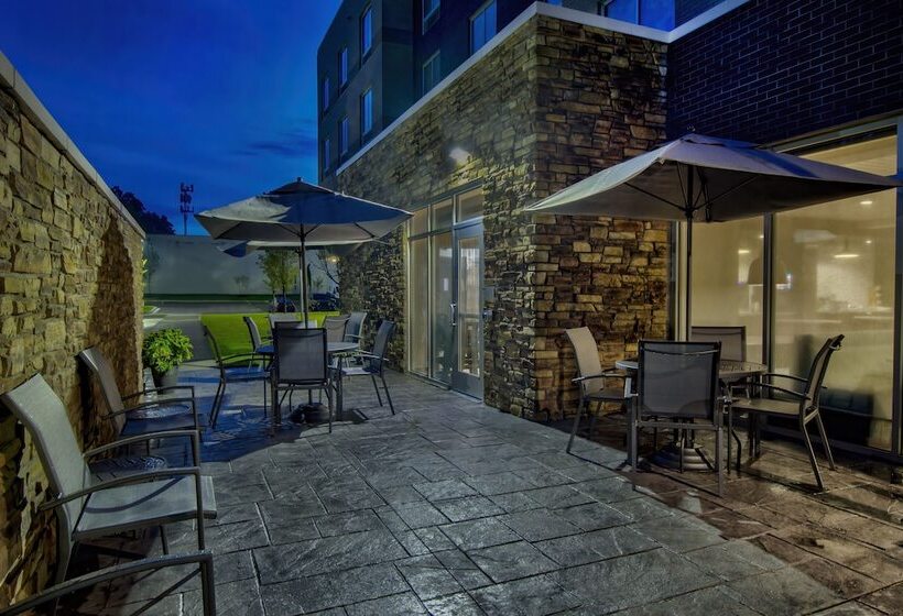 Отель Fairfield By Marriott Inn & Suites Rochester Hills