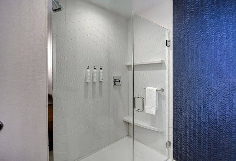 Отель Fairfield By Marriott Inn & Suites Rochester Hills