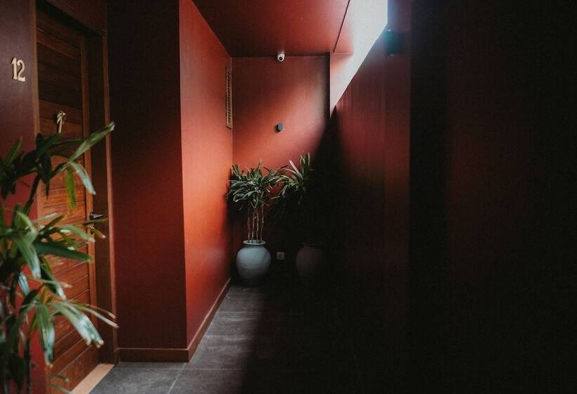 Porter Hotel   Surf & Yoga Retreat