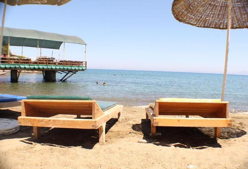 בית מלון כפרי Vouni King