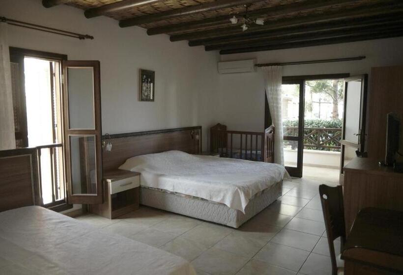 בית מלון כפרי Vouni King