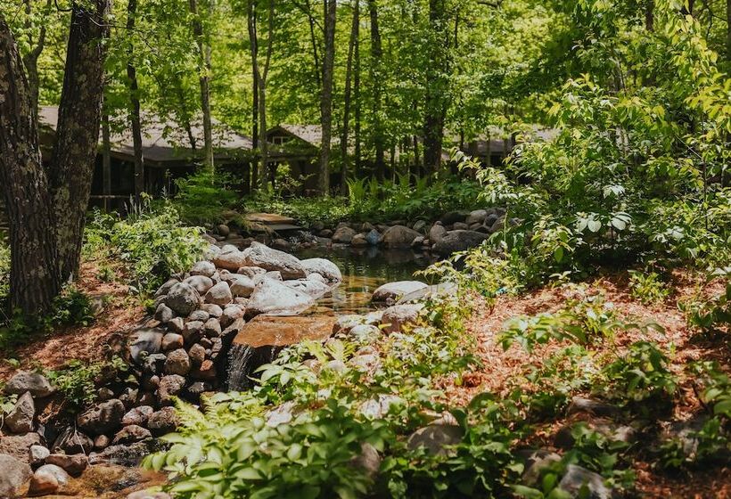 Jack Pines Resort
