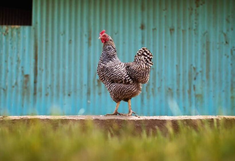 민박 Abbey Road Farm