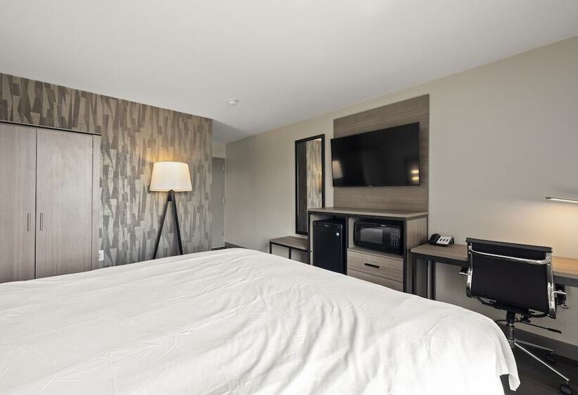 فندق على الطريق The Elmwood