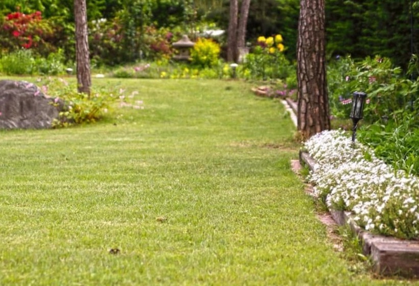 Namyangju Tannenbaum Pension