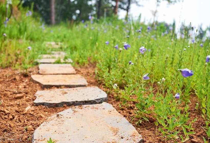 Yeongdeok Hyanguiteo Pension