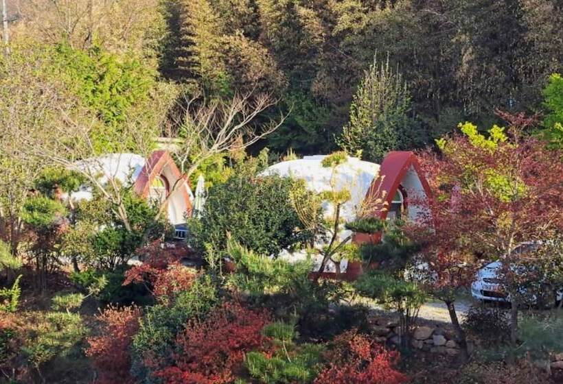 Damyang Firefly Pension