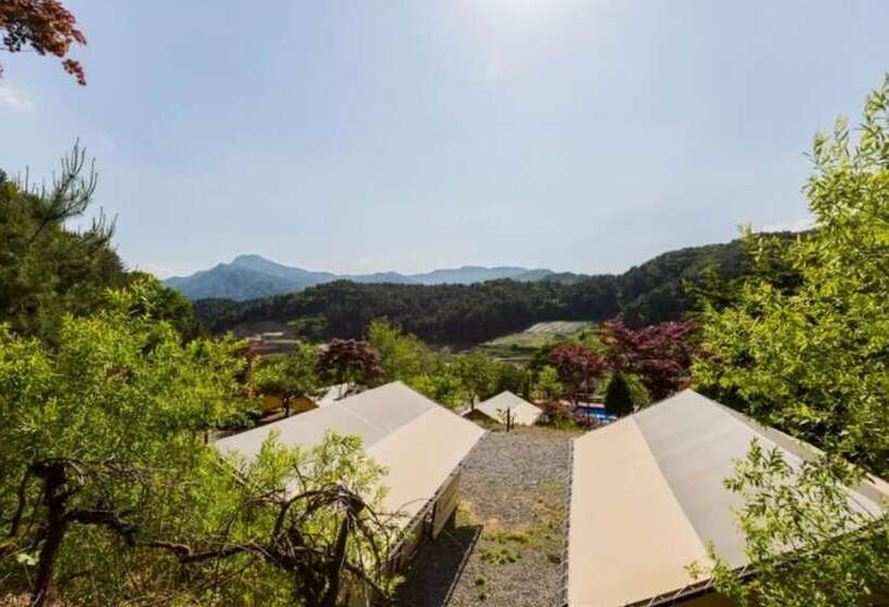 Pensão Gapyeong Captain Caravan And Glamping